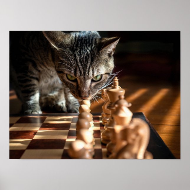Tabby Cat Playing Chess Poster (Front)