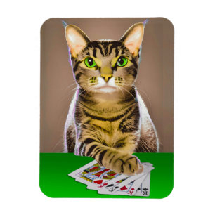 Tabby Cat Playing Poker Magnet