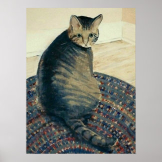 Tabby Cat Poster