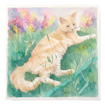 Tabby Cat