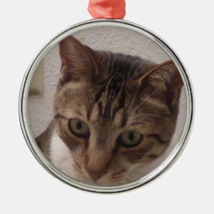 Tabby Cat Premium Round Ornament