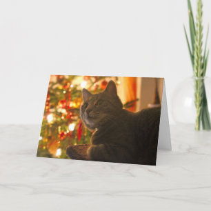 Tabby Cat Purr-fect Holiday Season Card