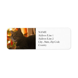 Tabby Cat Purr-fect Holiday Season Return Address Label