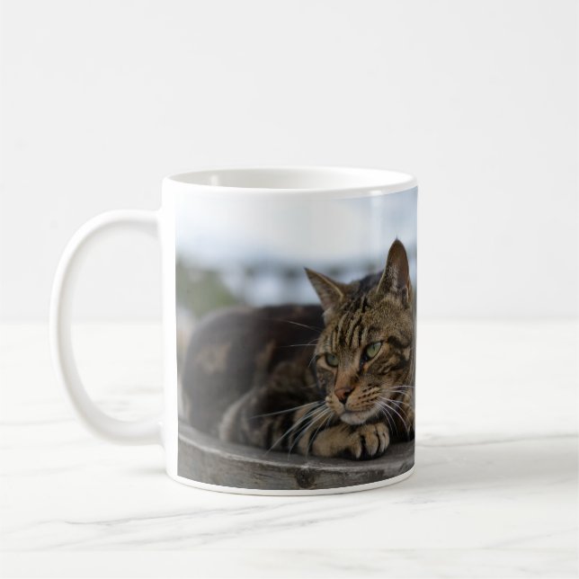 Tabby cat ready for action coffee mug (Left)