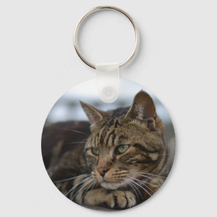 Tabby cat ready for action key ring