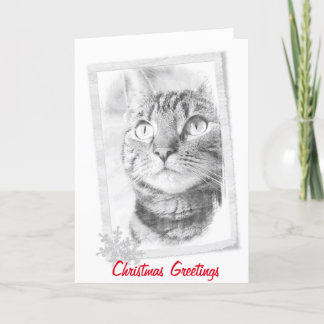Tabby Cat Sketch Christmas Card