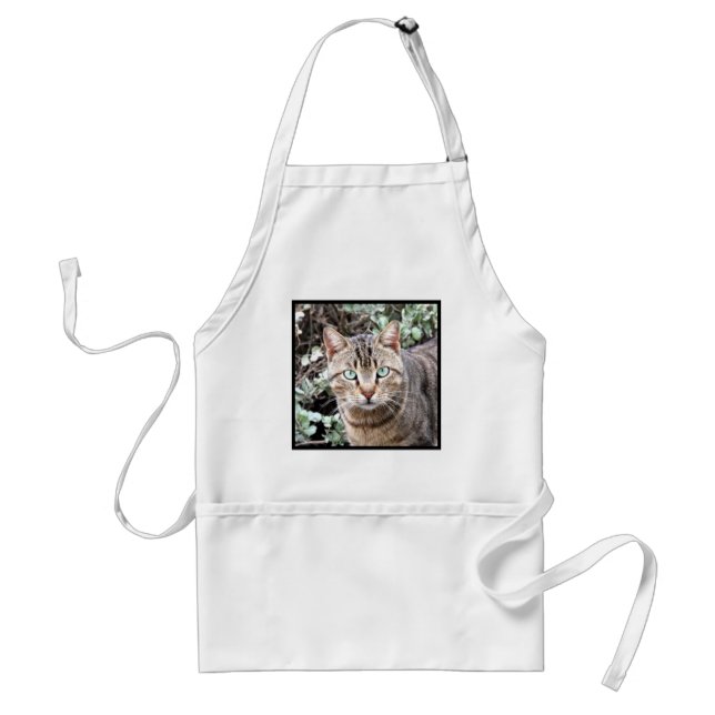 Tabby Cat Standard Apron (Front)