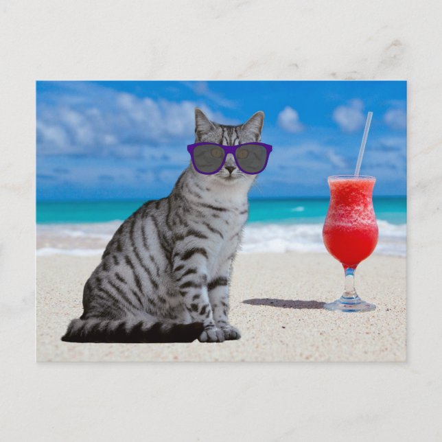 TABBY CAT SUNLASSES ON THE BEACH POSTCARDS (Front)