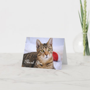 Tabby Cat Thank You Card