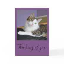 Tabby cat thinking of you card