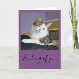 Tabby cat thinking of you card