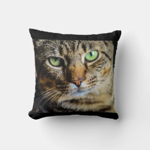 Tabby Cat Throw Pillow