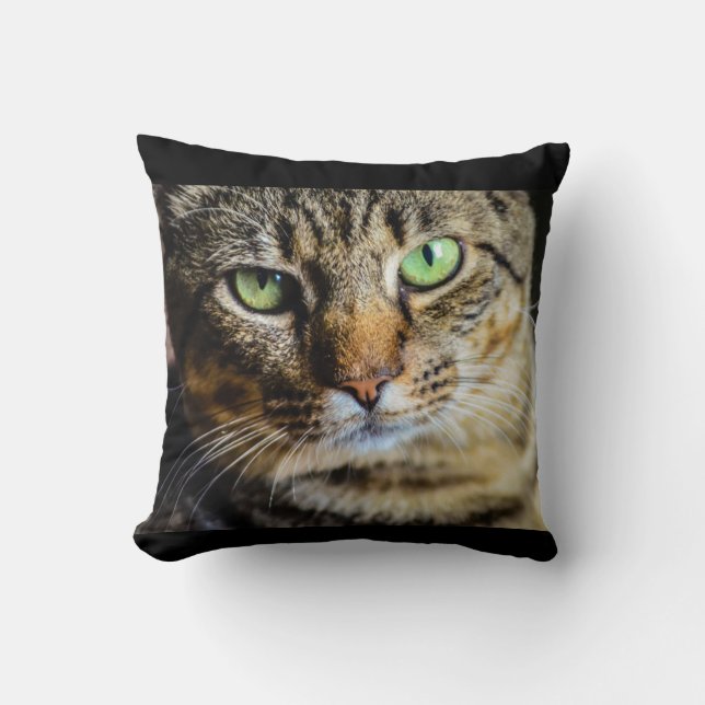 Tabby Cat Throw Pillow (Front)