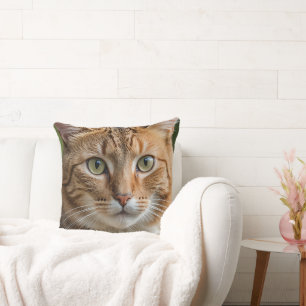 Tabby Cat Throw Pillow