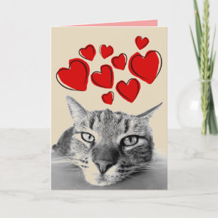 TABBY CAT VALENTINE'S DAY GREETING CARDS