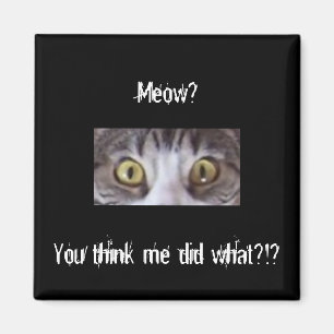 Tabby cat wide eyes magnet
