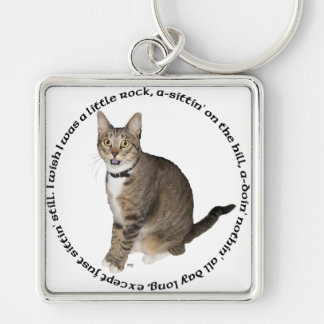 Tabby Cat Wishes Key Ring