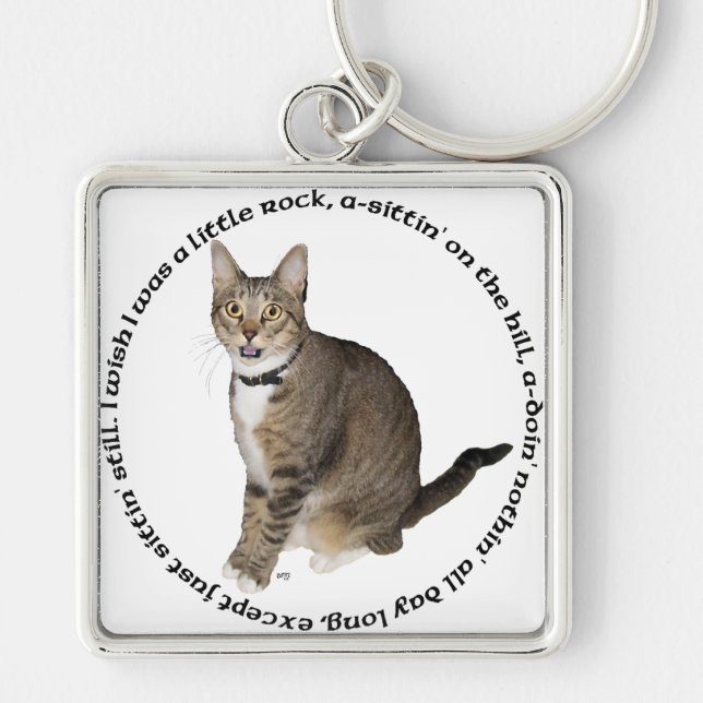 Tabby Cat Wishes Key Ring (Front)