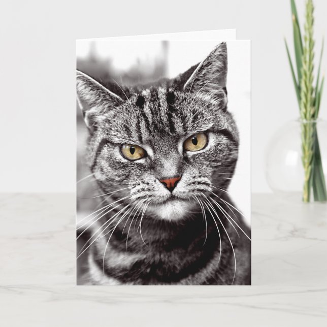 Tabby Cat With Attitude Card (Front)