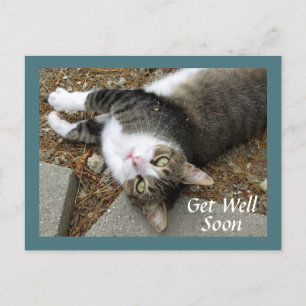 Tabby Cat with Dreamy Eyes Get Well Postcard