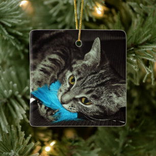 Tabby Cat with Feather by Shirley Taylor Ceramic Ornament