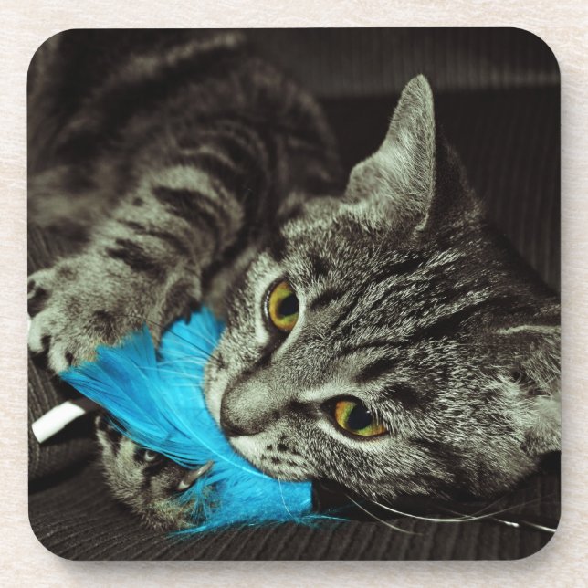 Tabby Cat with Feather by Shirley Taylor Coaster (Front)