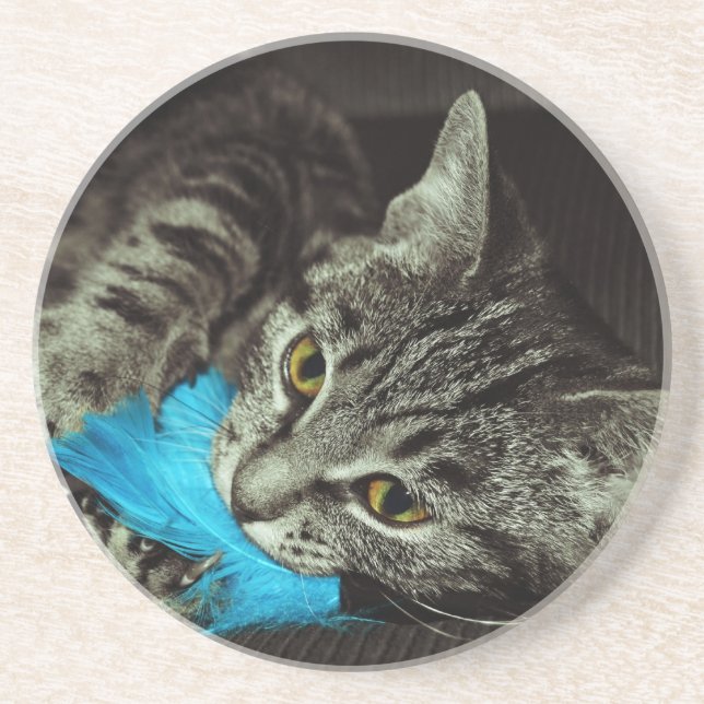 Tabby Cat with Feather by Shirley Taylor Coaster (Front)