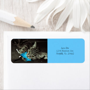 Tabby Cat with Feather by Shirley Taylor Return Address Label