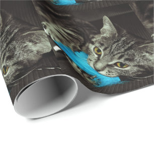 Tabby Cat with Feather by Shirley Taylor Wrapping Paper