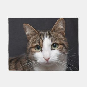 Tabby Cat with Green Eyes against Black Background Doormat