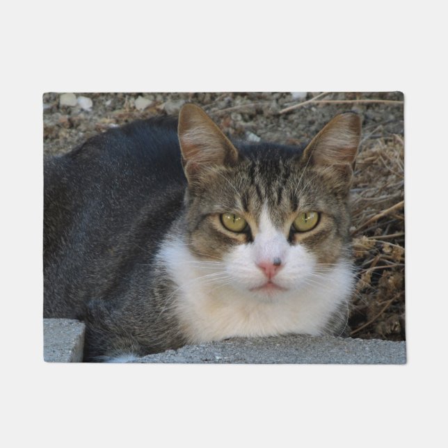 Tabby Cat with Green Eyes Doormat (Front)