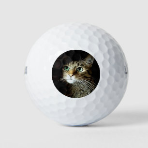 Tabby Cat With Green Eyes Isolated On Black Golf Balls
