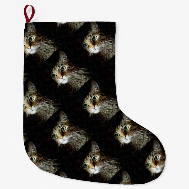 Tabby Cat With Green Eyes Isolated On Black Large Christmas Stocking (Front)