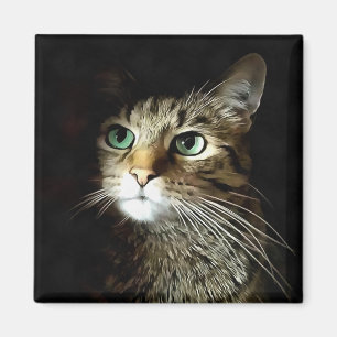 Tabby Cat With Green Eyes Isolated On Black Magnet