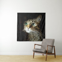 Tabby Cat With Green Eyes Isolated On Black