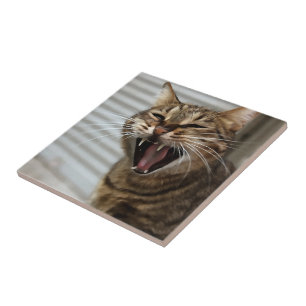 Tabby Cat Yawning Artistic Portrait Ceramic Tile