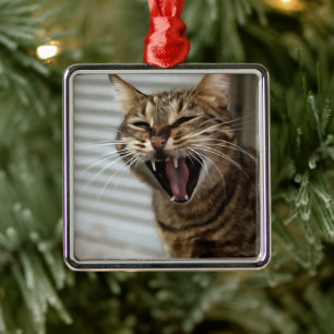 Tabby Cat Yawning Artistic Portrait Metal Ornament
