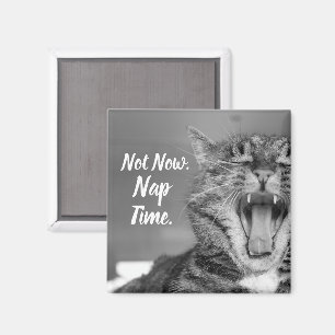 Tabby Cat Yawning, Not Now Nap Time Magnet