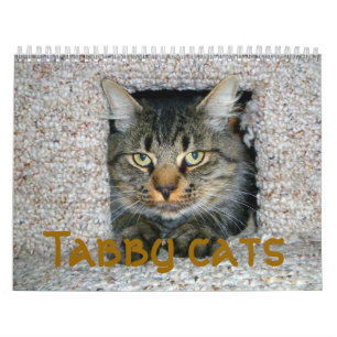 Tabby cats calendar
