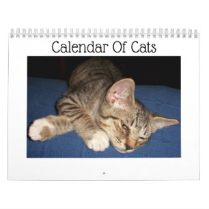 Tabby Cats Calendar