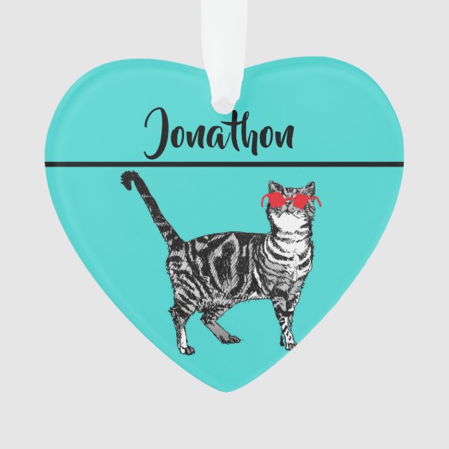 Tabby Cats 'One Cool Cat' Aqua Boys Mens Ornament (Front)