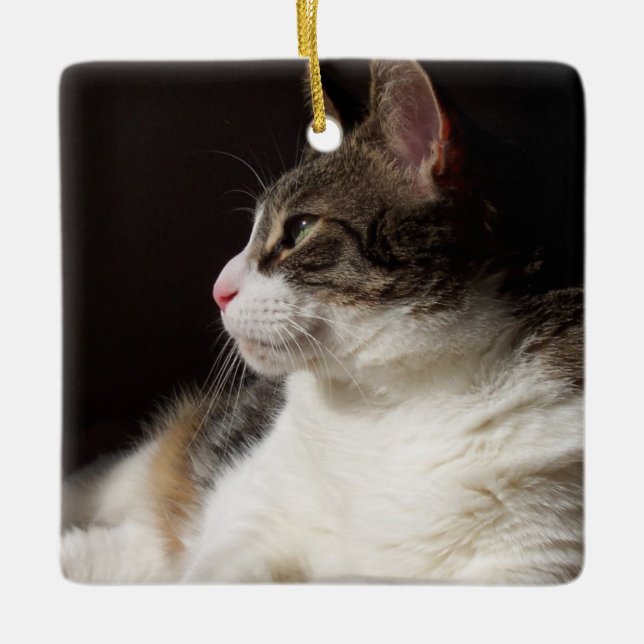 Tabby Ceramic Ornament (Front)