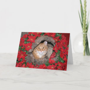 Tabby Christmas Holiday Card