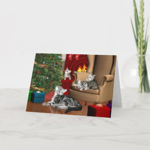 Tabby family Christmas Holiday Card