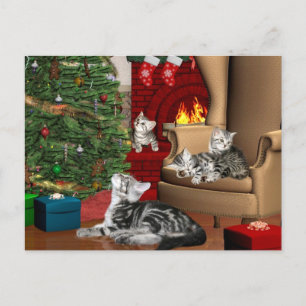 Tabby family Christmas Holiday Postcard