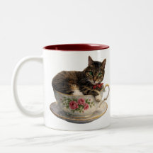Tabby in a Teacup