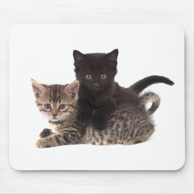 tabby kitten black kitten mouse pad (Front)