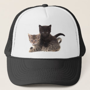 tabby kitten black kitten trucker hat