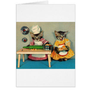 tabby kitten chef and tabby kitten assistant