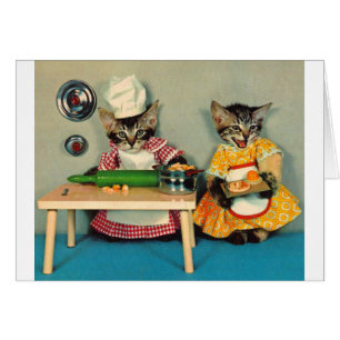 tabby kitten chef and tabby kitten assistant